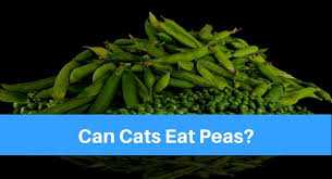 Risks of Feeding Cooked Peas to Cats
