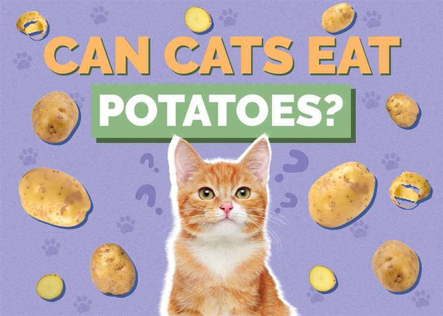 Are cooked potatoes safe for cats?