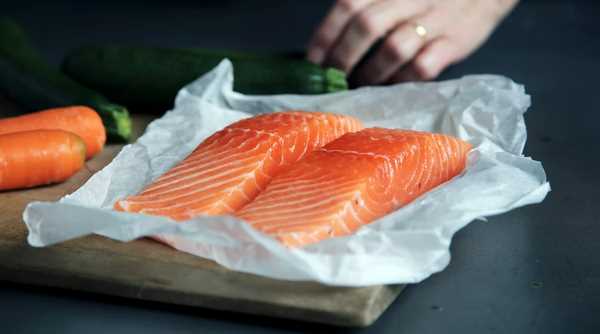 Potential Risks of Cooked Salmon for Cats