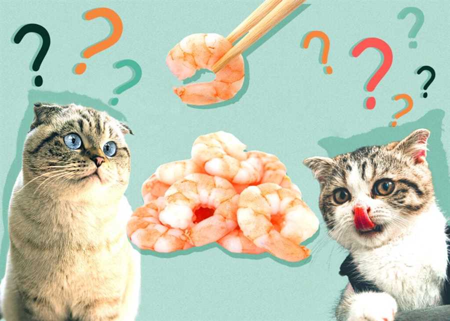 Are Cooked Shrimp Safe for Cats?