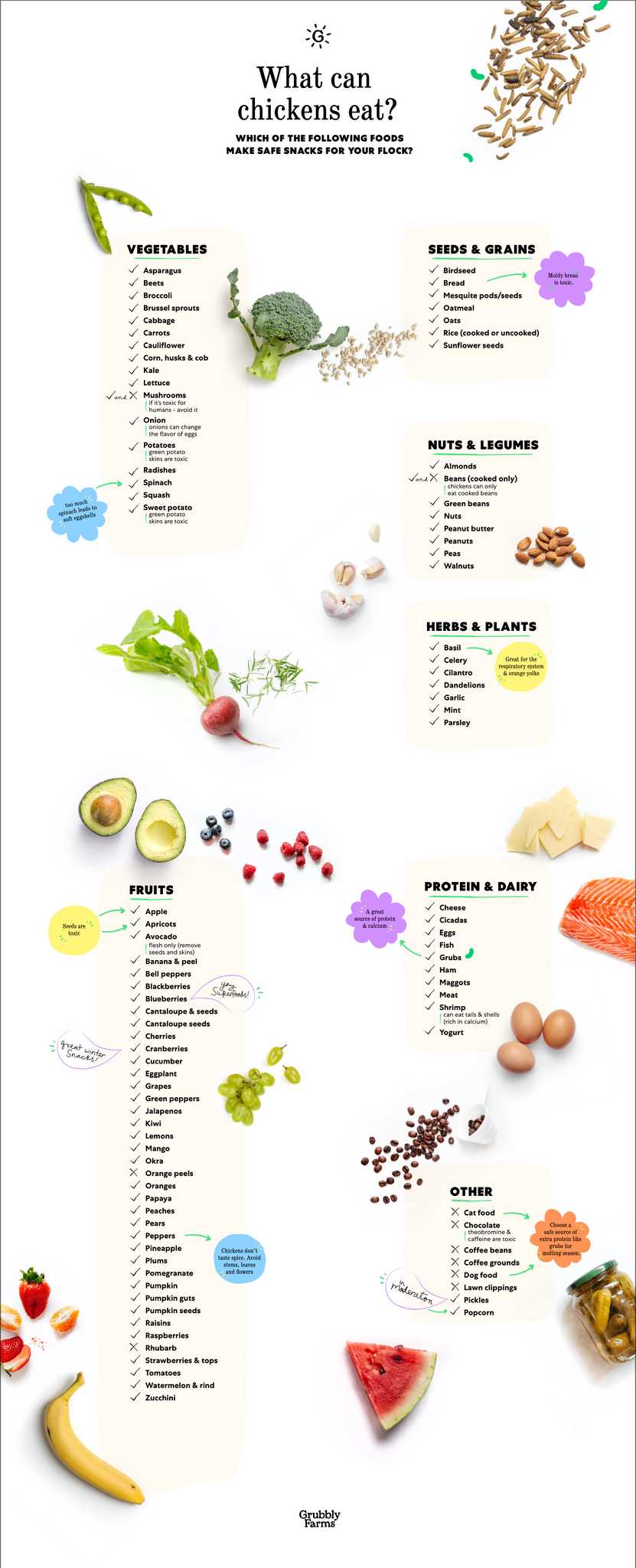 Health Benefits of Cooked Peas for Chickens