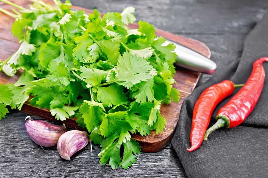 Ways to Cook Cilantro