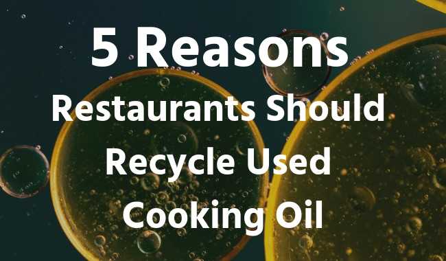 Can Cooking Oil Be Recycled?