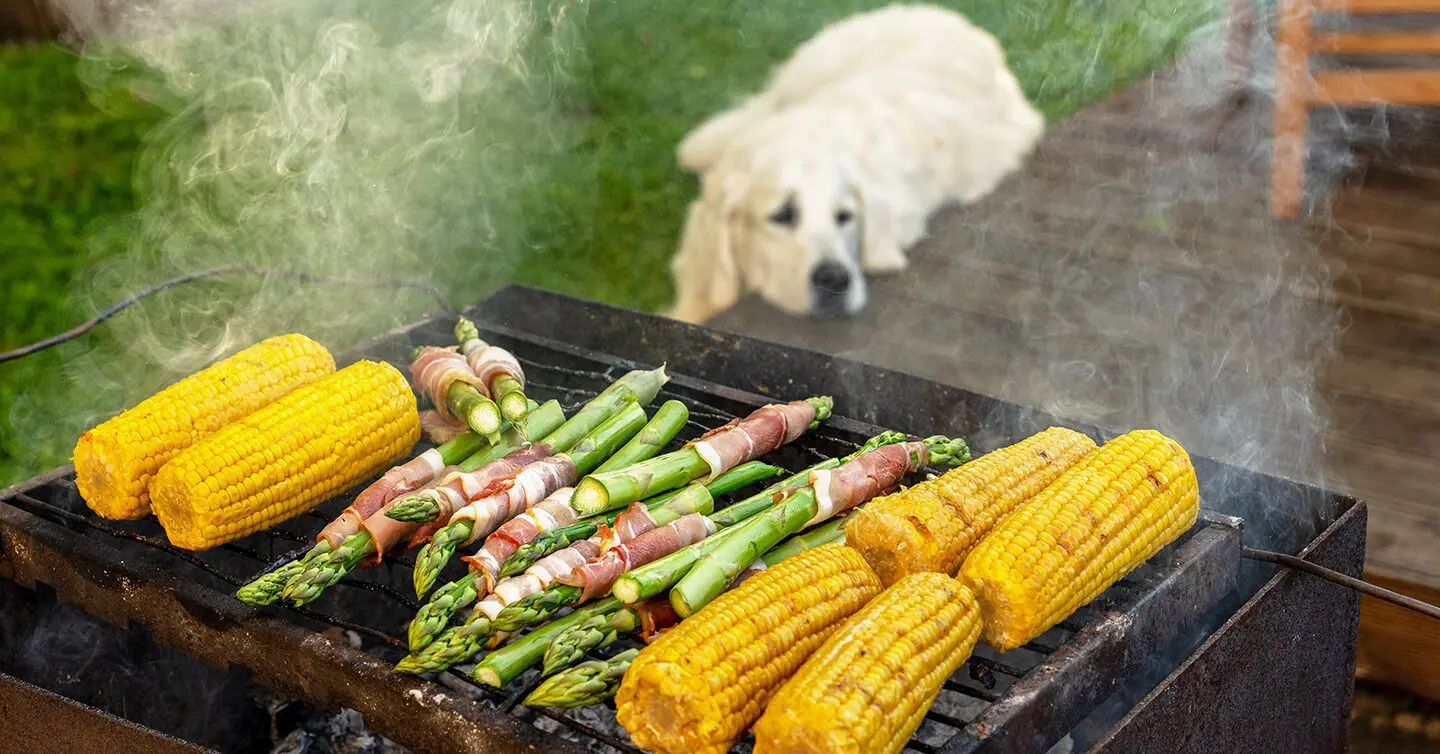 4. Serving the Cooked Asparagus to Your Dog