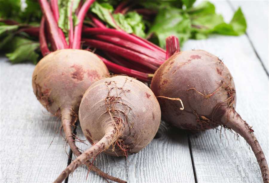 How to safely prepare cooked beets for dogs