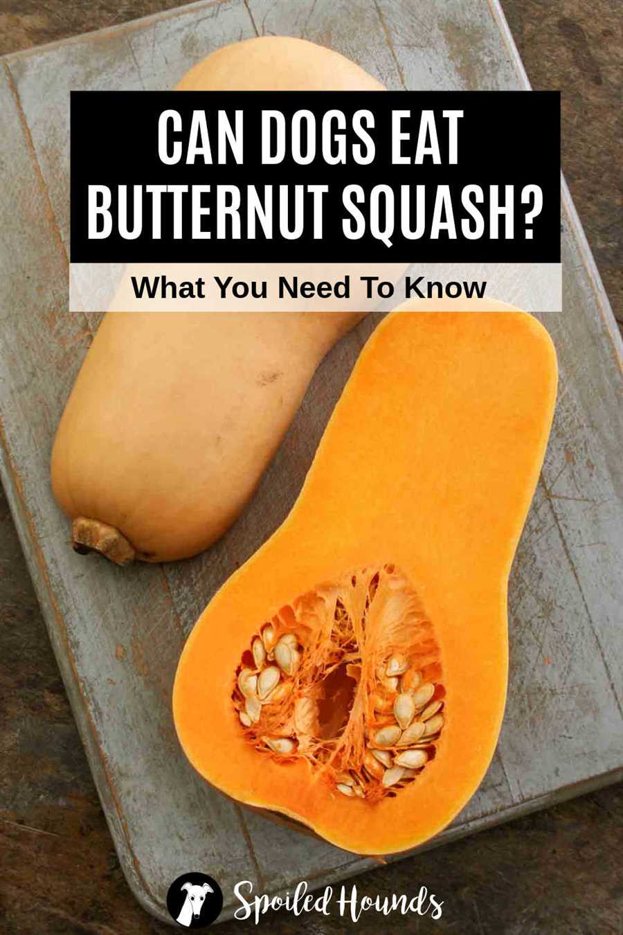 Consulting your veterinarian before feeding butternut squash to your dog