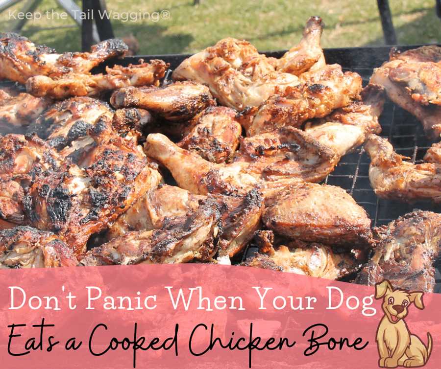 Are Cooked Chicken Wings Safe for Dogs to Eat?