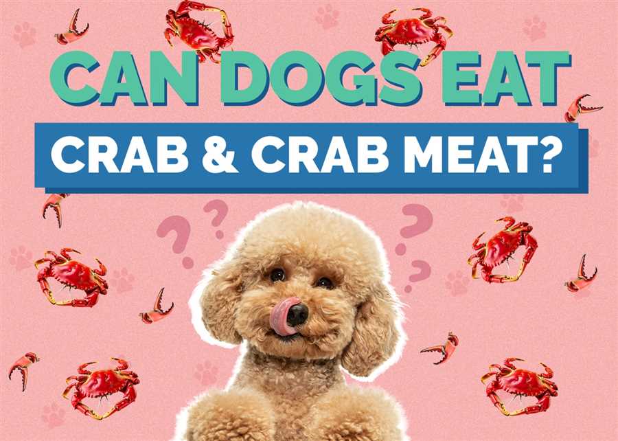 Feeding Cooked Crab Meat to Dogs