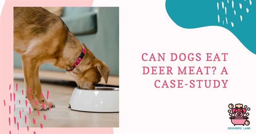 Is It Safe: Can Dogs Eat Cooked Deer Meat?