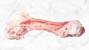 Are Lamb Shank Bones Safe for Dogs to Eat?