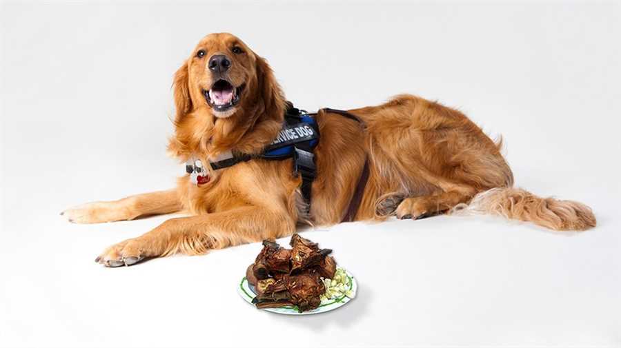 Potential Risks of Feeding Dogs Cooked Pork