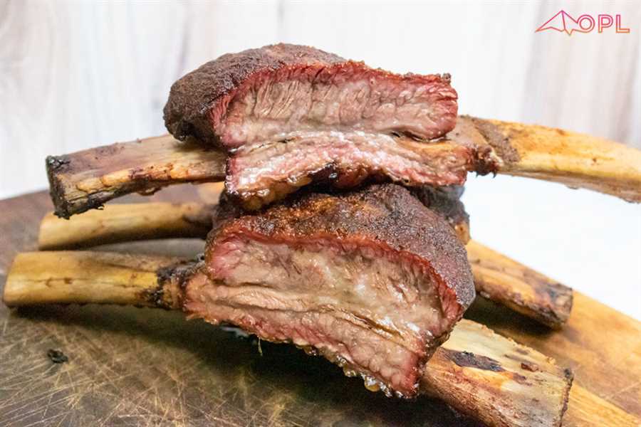 Alternatives to Cooked Short Rib Bones