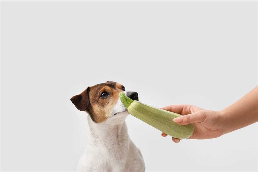 How to prepare and serve cooked zucchini for dogs