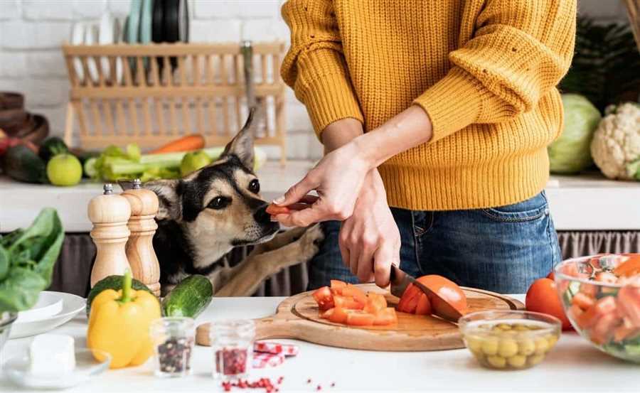 Potential risks of feeding dogs spoiled meat