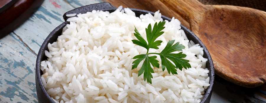 How to Safely Add Cooked White Rice to Your Dog's Meals