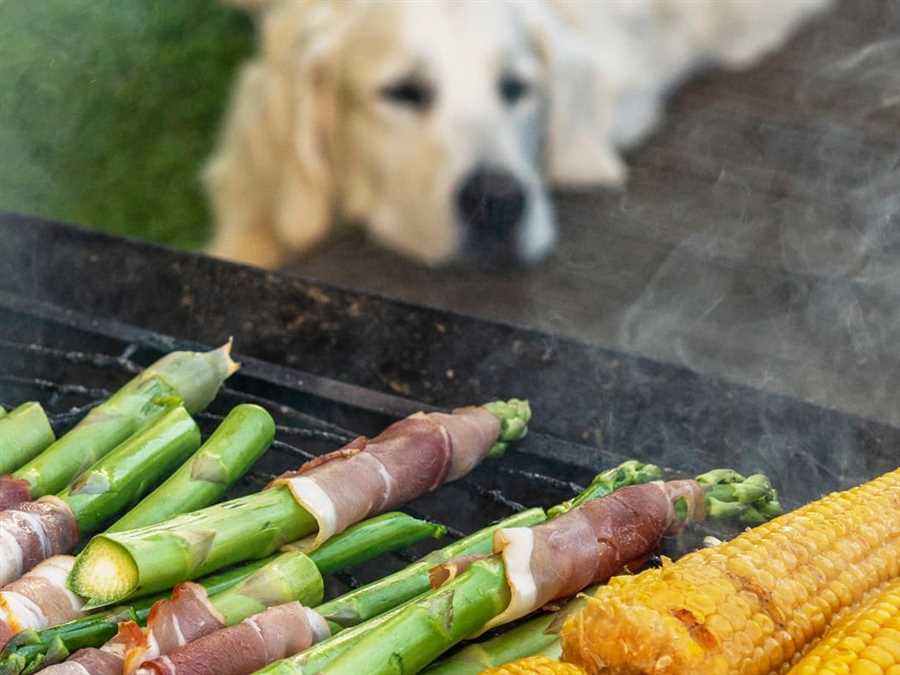 The Benefits of Feeding Cooked Asparagus to Dogs