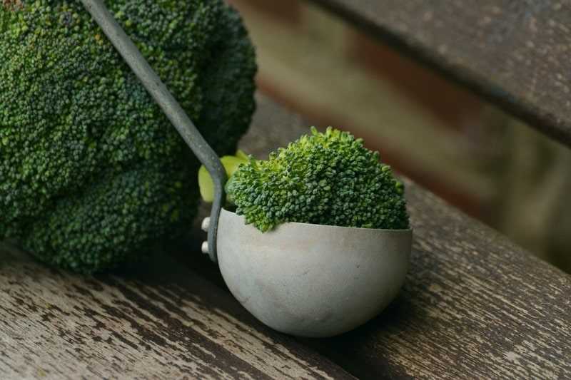 Health Benefits of Cooked Broccoli for Guinea Pigs