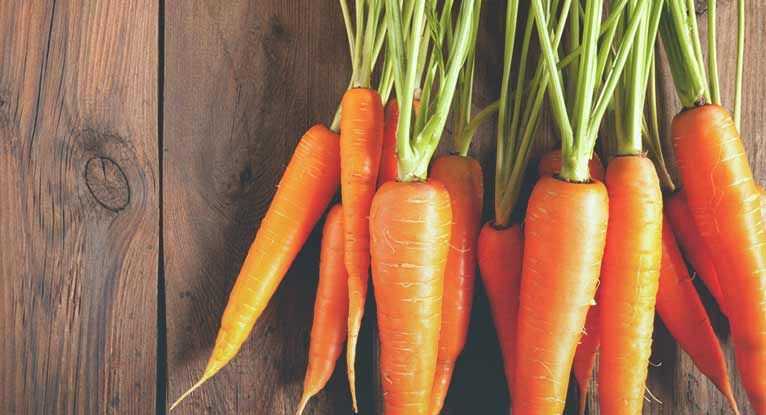 Raw Carrot Allergies: