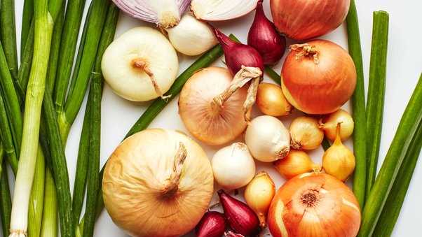 Symptoms of an onion allergy