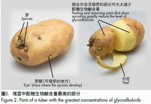 Cooked Potato Allergy: Is it Possible?