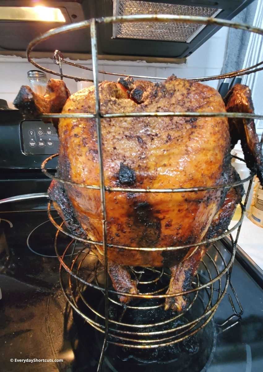 Benefits of Cooking Turkey in an Air Fryer