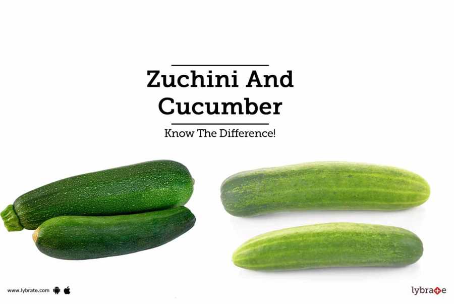 Experimenting with cucumbers and zucchini