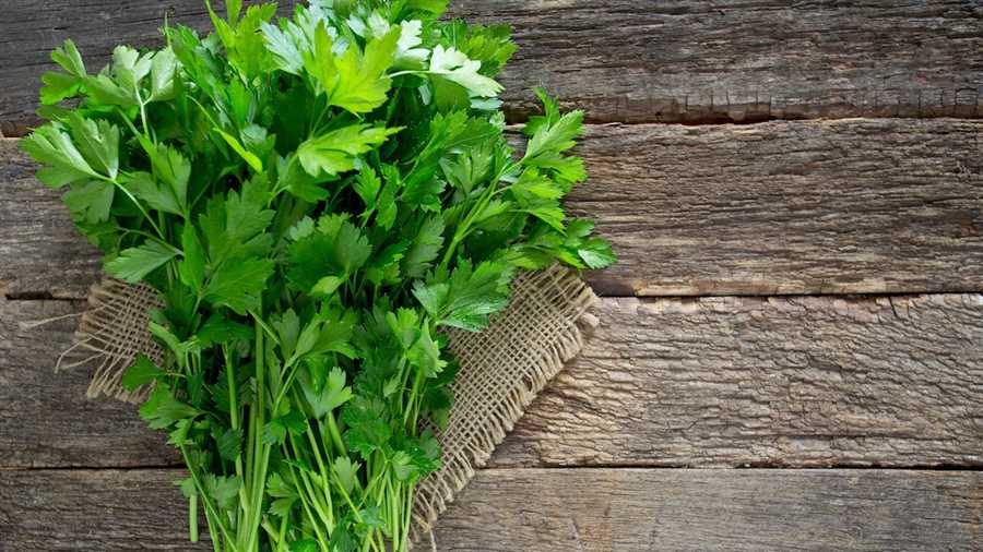 Uses of cooked parsley: