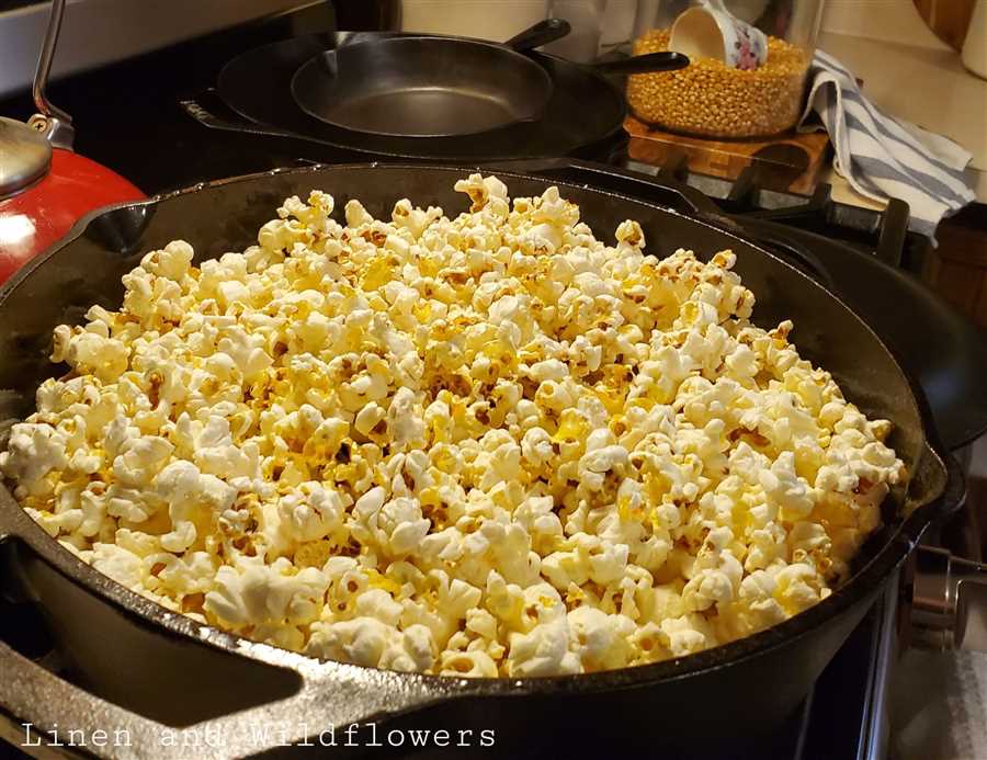 How To Cook Popcorn In A Convection Oven at Ben Michael blog