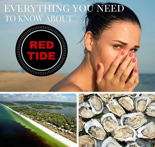 Red Tide in Shellfish: Can it be Cooked Out?