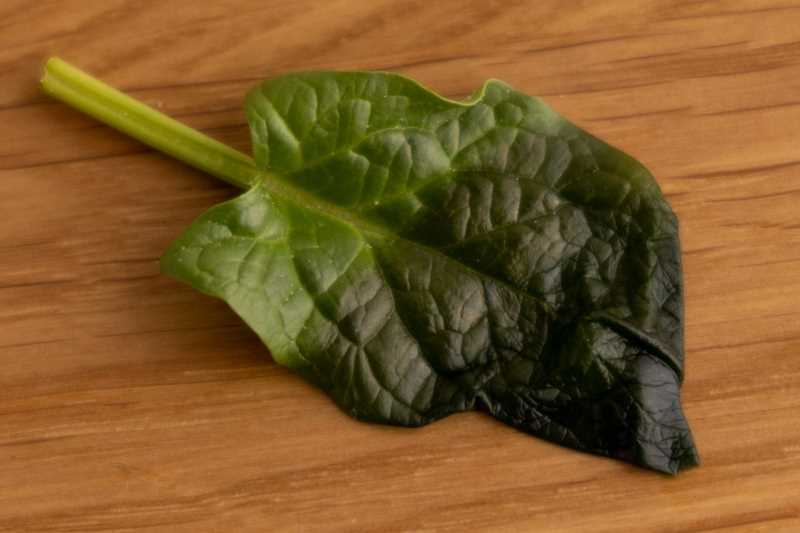 Cooking methods for spinach