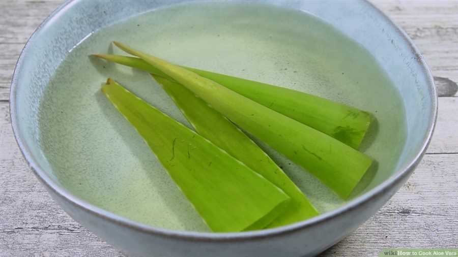 Aloe Vera Salad Dressing