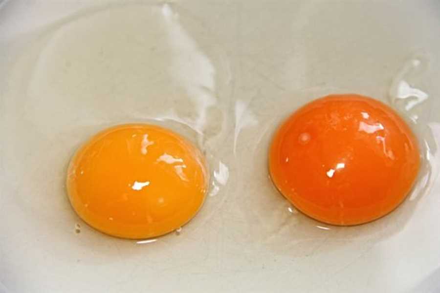 Determining Egg Freshness