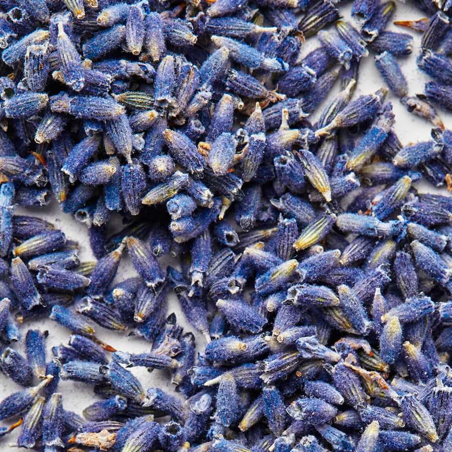 Popular lavender recipes