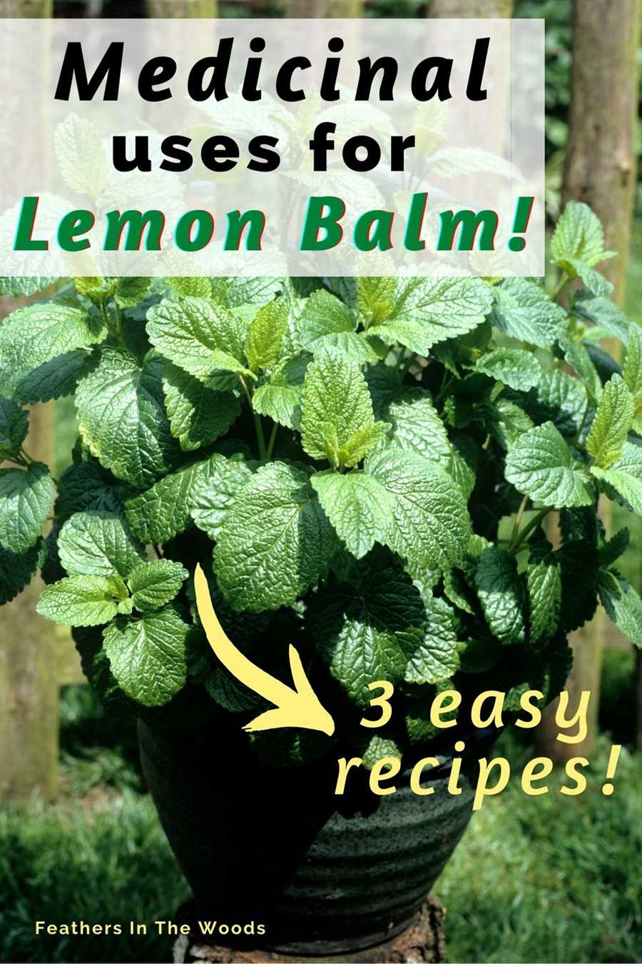 2. Lemon balm cookies