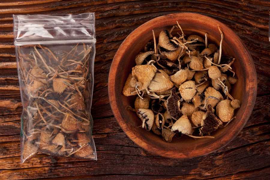 Unleashing the Flavourful Possibilities of Magic Mushrooms