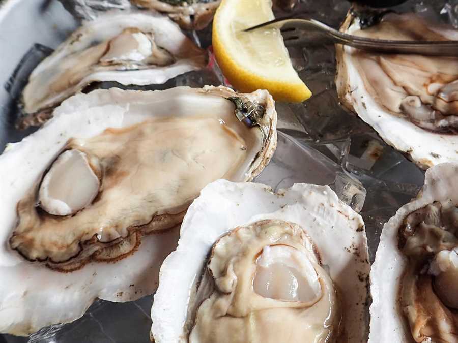 can-you-eat-cooked-oysters-while-pregnant-metro-cooking-dallas