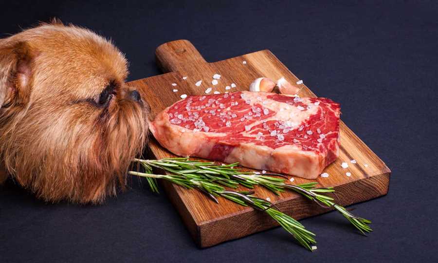 Can dogs eat cooked steak bones?