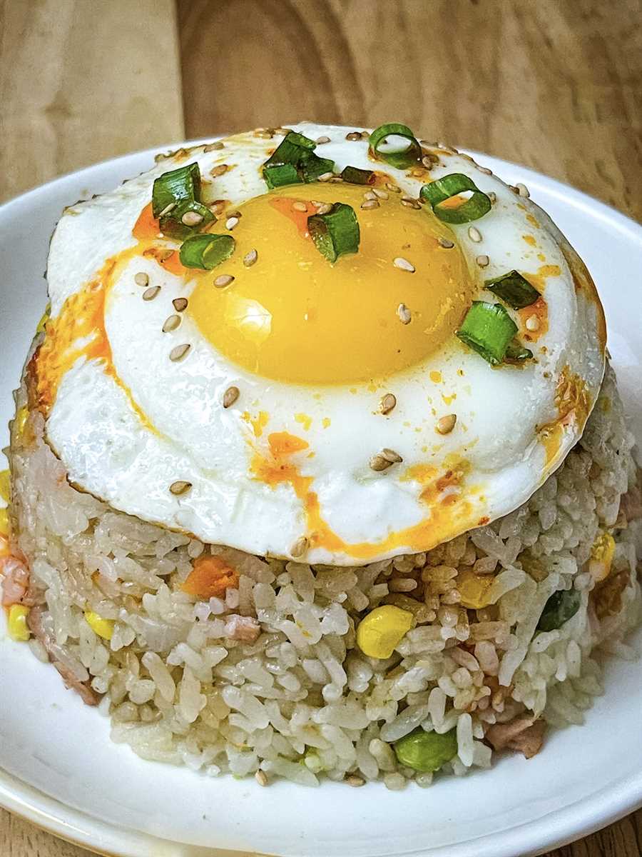 Can you make fried rice in a rice cooker Metro Cooking Dallas