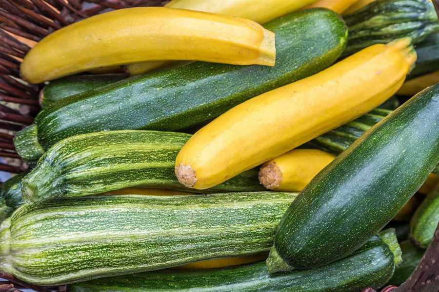 How to Prepare Zucchini for Cooking